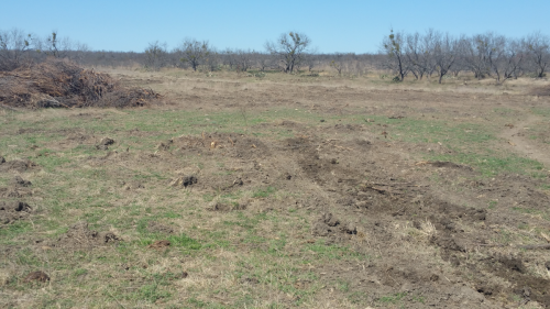 After Image of Brush Removal in West Texas